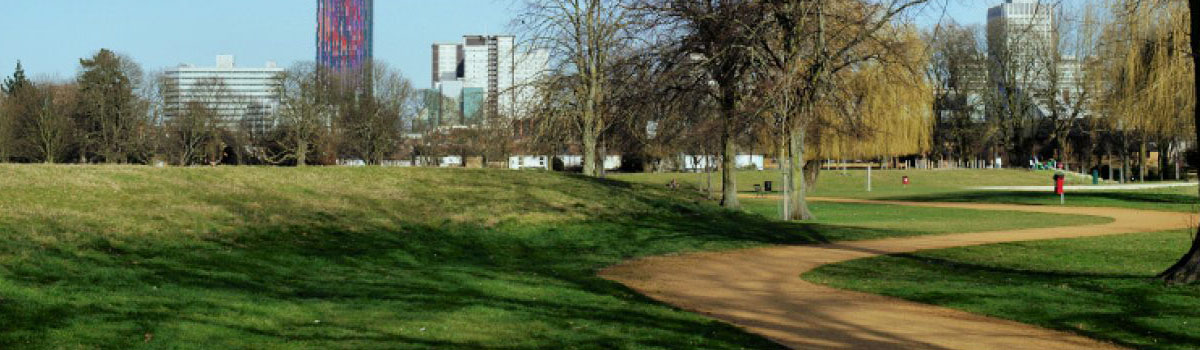Wandle Park Croydon Outdoor Cinema